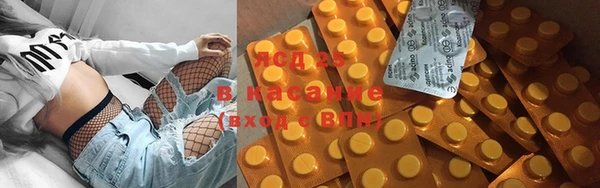 ГАЛЛЮЦИНОГЕННЫЕ ГРИБЫ Алзамай