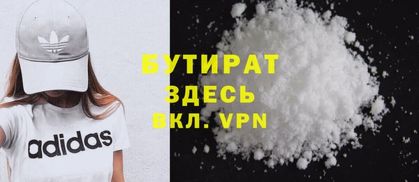 прущие грибы Инта