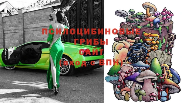 шишки Алексеевка