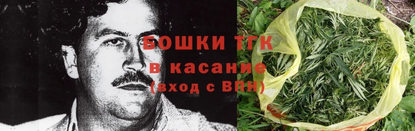 шишки Алексеевка