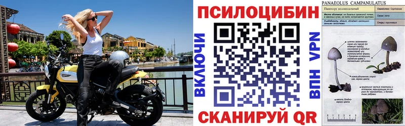 Галлюциногенные грибы GOLDEN TEACHER  Багратионовск 