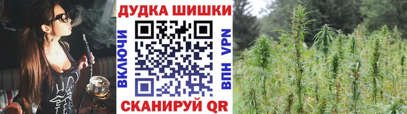 где можно купить   Багратионовск  МАРИХУАНА VHQ 